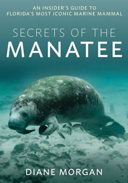 Secrets-of-the-Manatee-cover.jpg